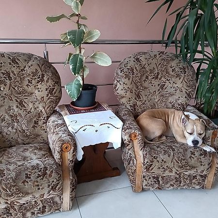 Noclegi Centrum Jelenia Gora Ngoại thất bức ảnh