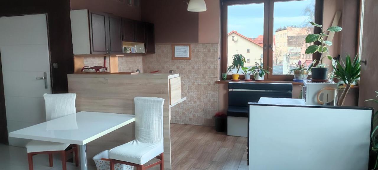 Noclegi Centrum Jelenia Gora Ngoại thất bức ảnh