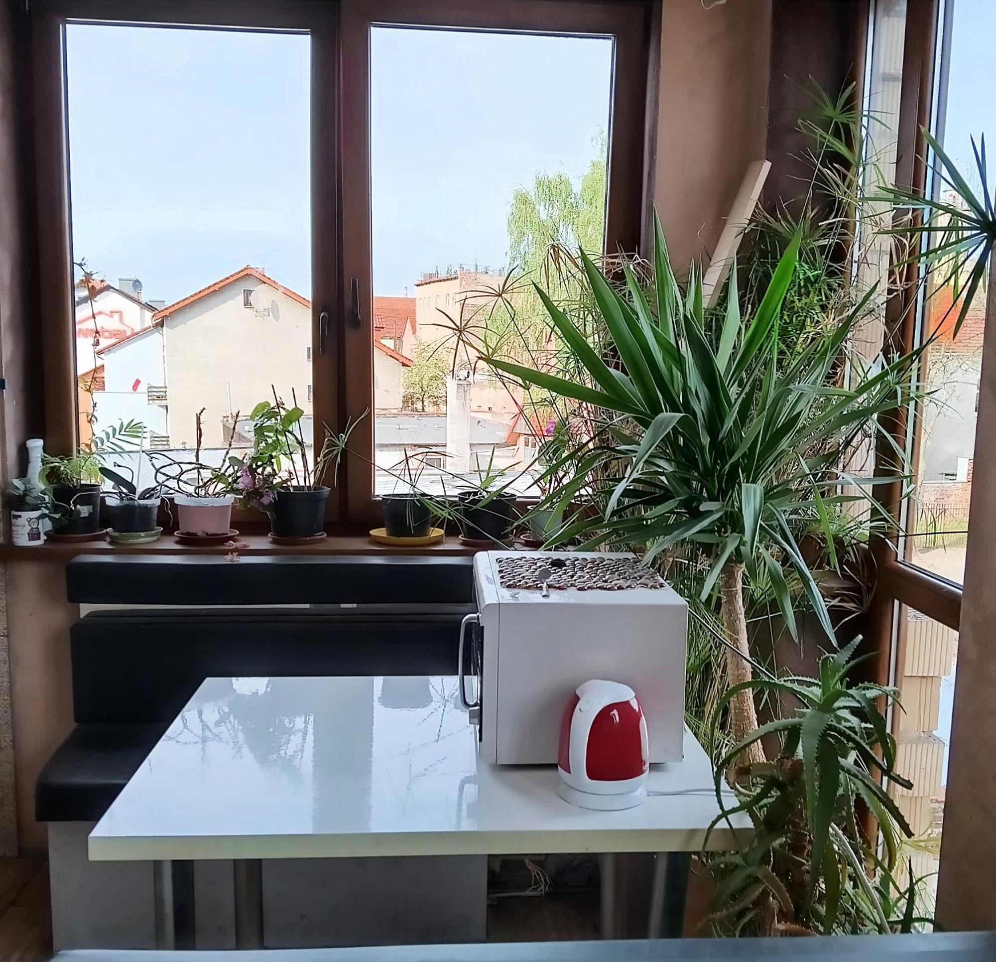 Noclegi Centrum Jelenia Gora Ngoại thất bức ảnh